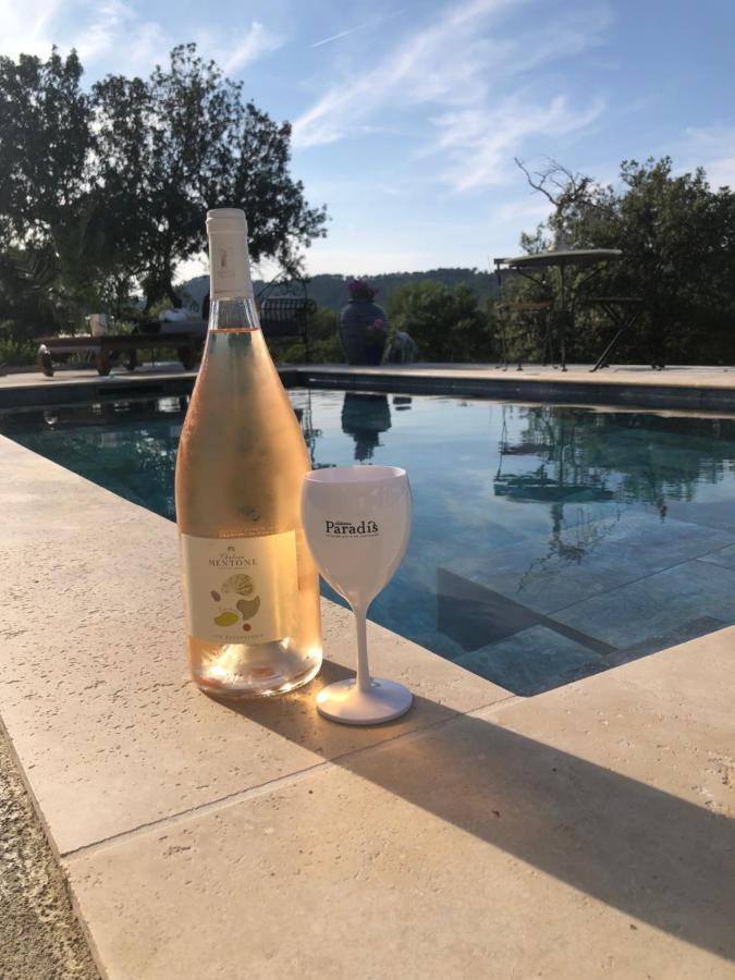 Villa Avec Piscine Privee Non Partagee Camps-la-Source Dış mekan fotoğraf