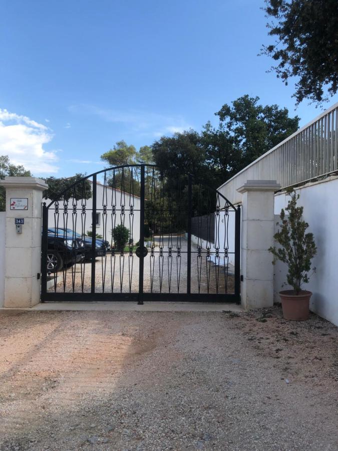 Villa Avec Piscine Privee Non Partagee Camps-la-Source Dış mekan fotoğraf